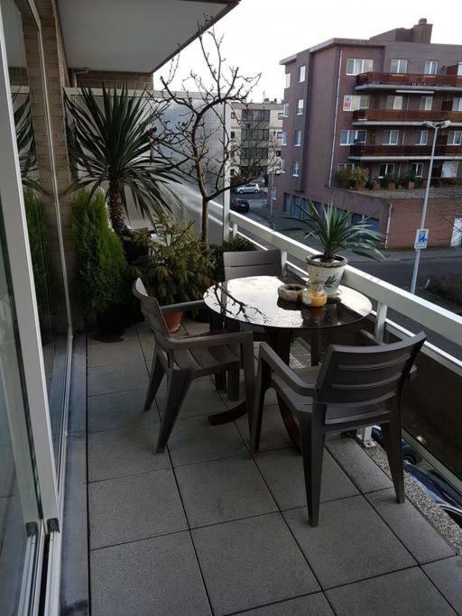 Comfortable And Cozy Place Accommodatie bij particulieren Antwerpen